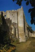 Angles sur l'Anglin (86) - Ruines du chateau (3)